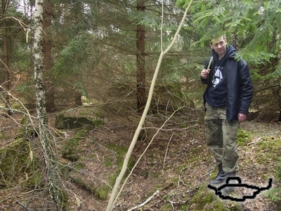 rajdtl 29